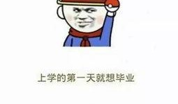 令人在意室友在线观看,揭秘令人在意的秘密生活